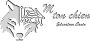 Mtonchien Logo